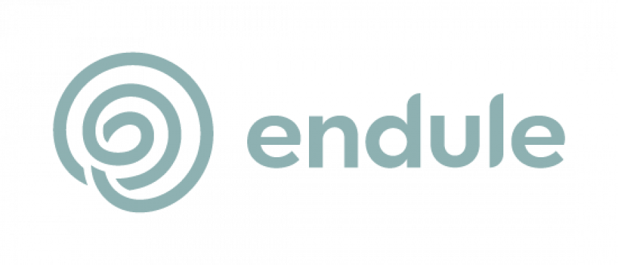 Logo endule.png